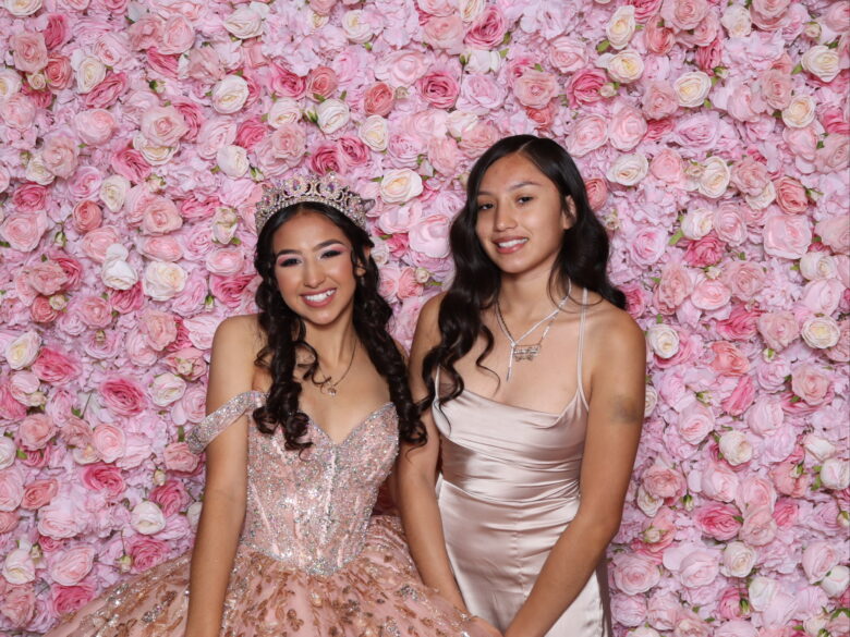 Pink Rose Wall - Image 3