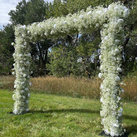 Baby’s Breath & White Rose Arch